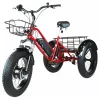 Триколісний електровелосипед CARGO 500W 36v 13Ah з кошиком