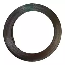 Alternative view of Стрічка нікельована 0.15x4mm 10m